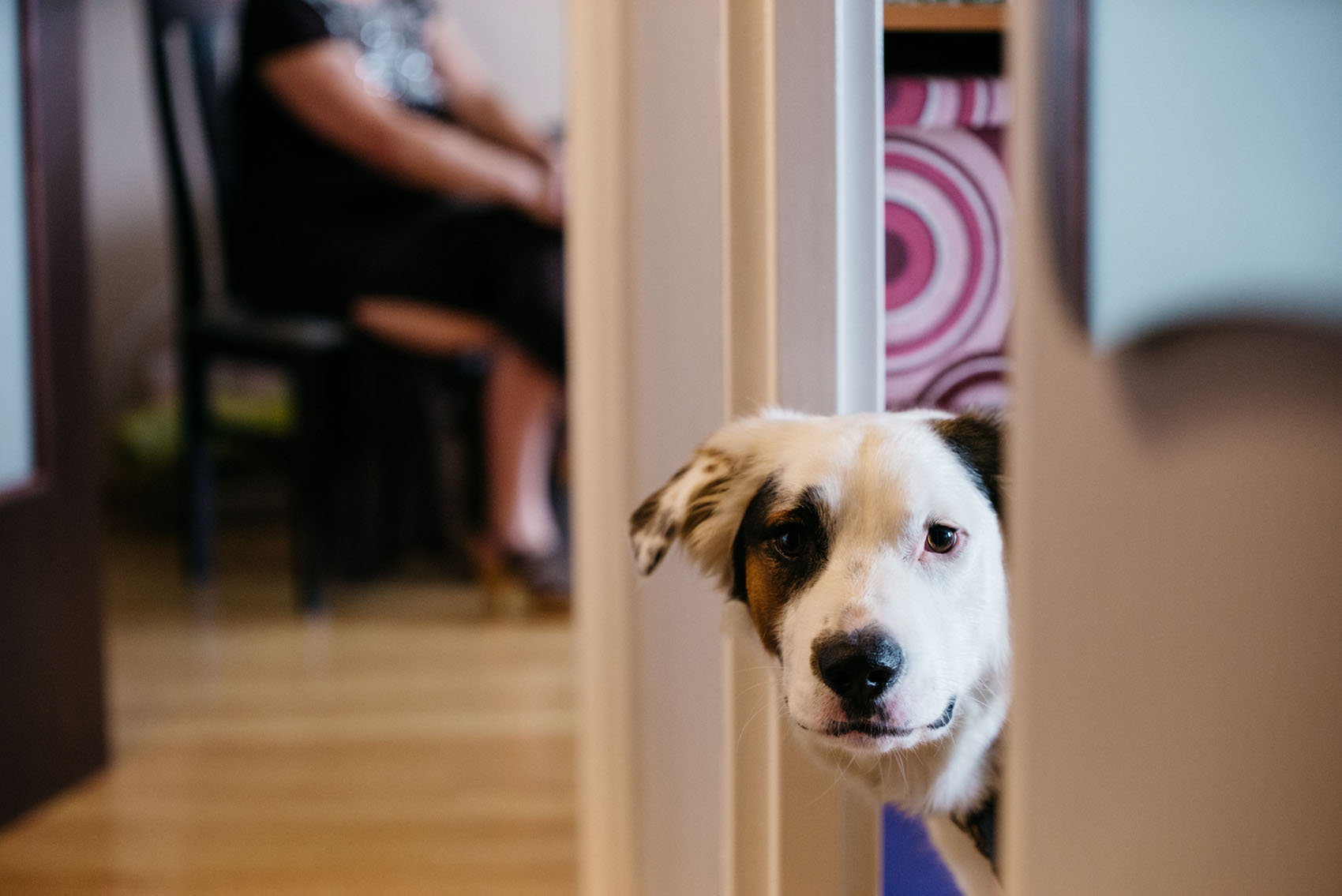 Tradycja Zduńska Wola 7 tradycja zdunska wola 7