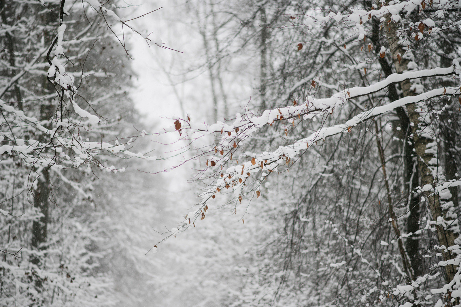 Zimowa sesja narzeczeńska 5 zimowa sesja narzeczenska6